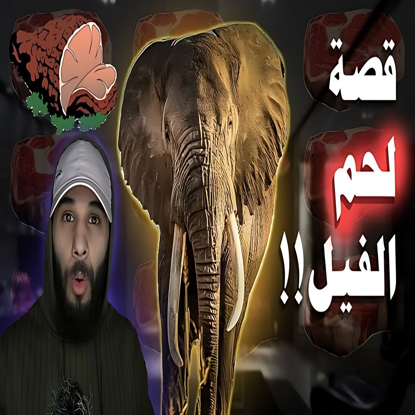 أنس آكشن - اكلوا لحم الفيل شوف ايش صار لهم episode artwork