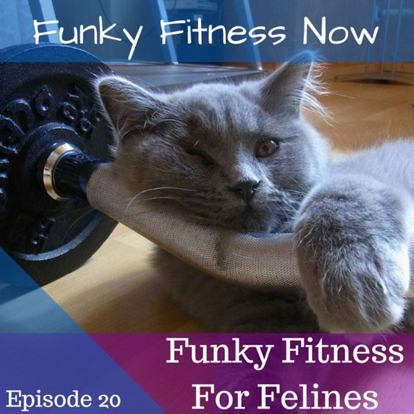 Funky Fitness Now