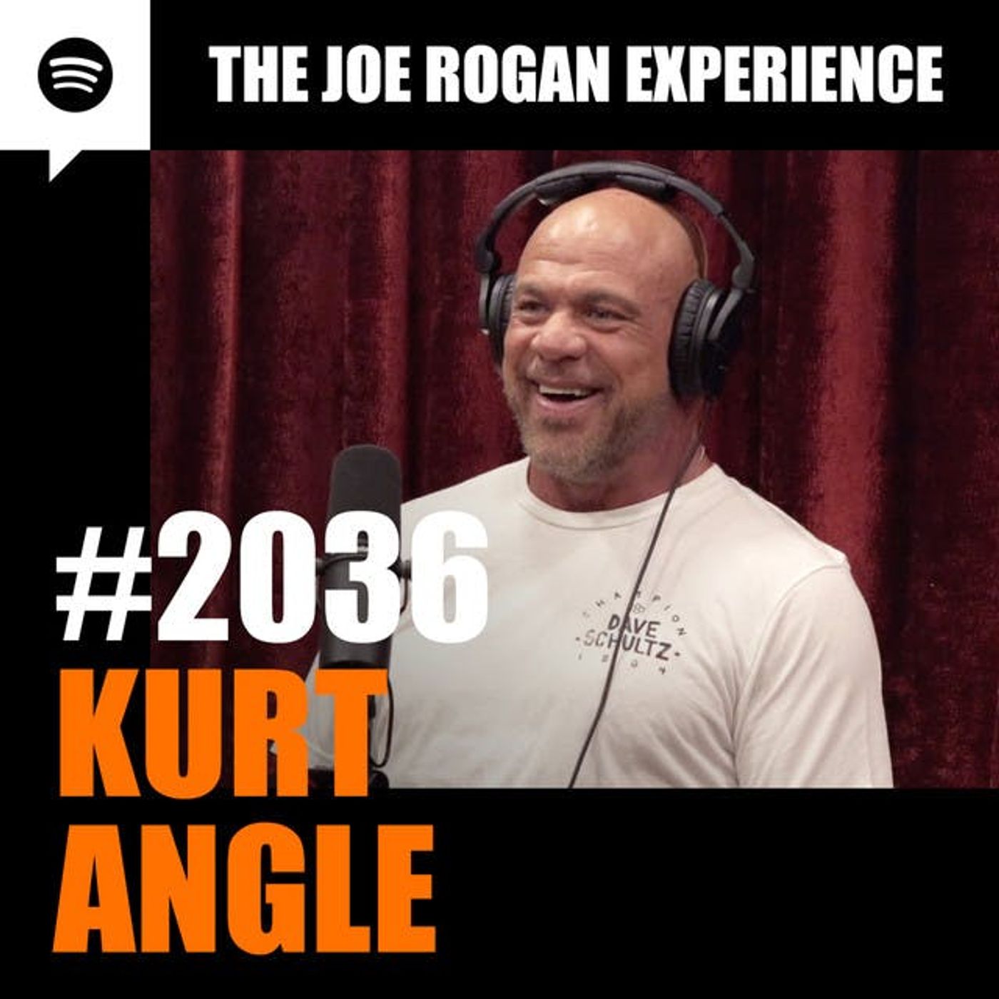 The Joe Rogan Experience