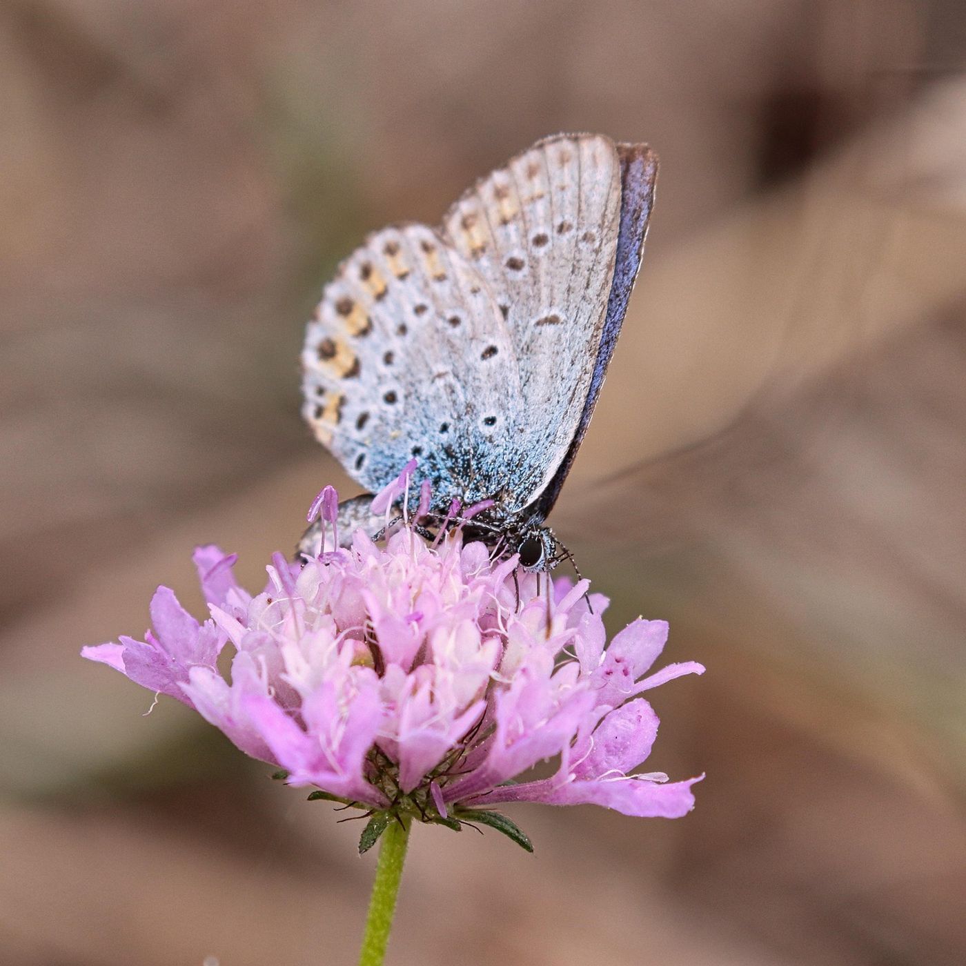 2025-08-24 Taking Jesus Seriously (Pastor Mike Schutz)