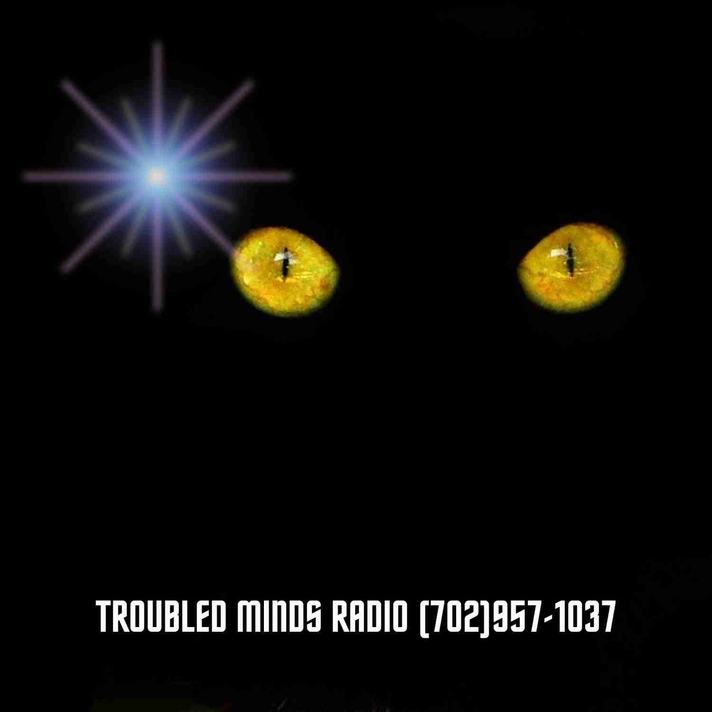 Halloween Archetypes - The Black Cat and Familiar Spirits