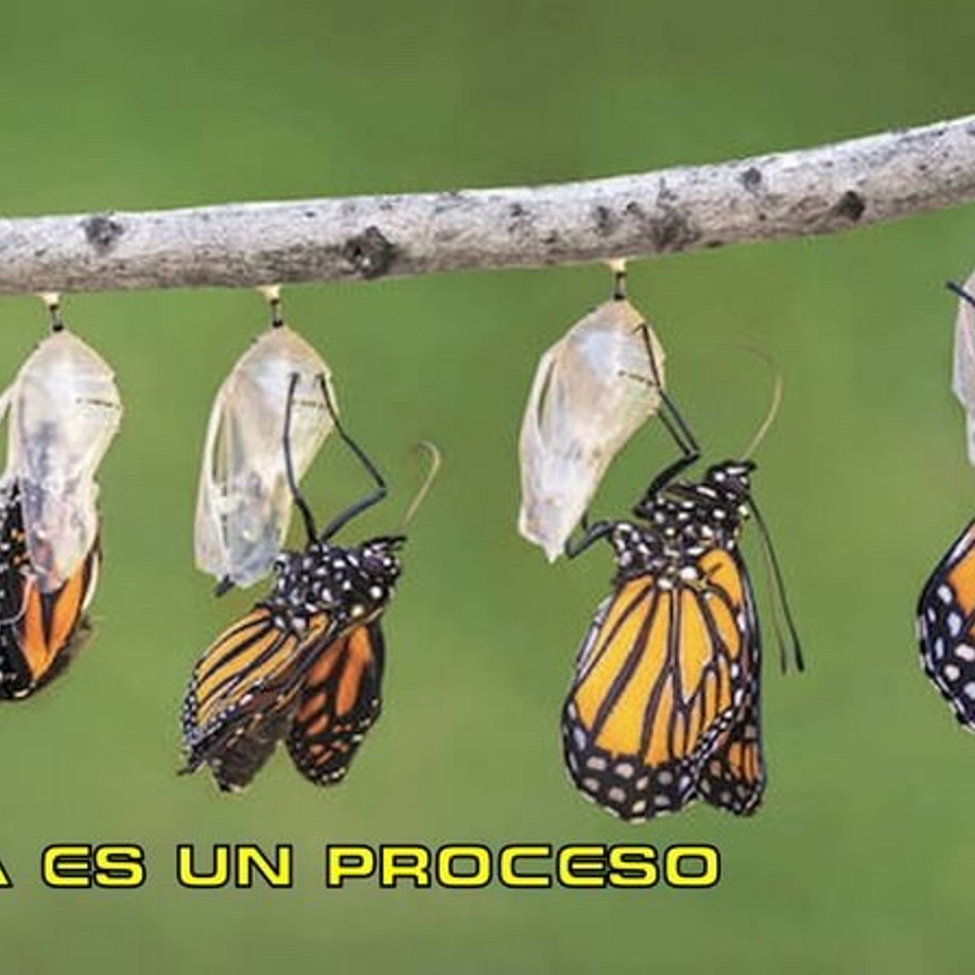 LO QUE TE FORMA EL CARÁCTER episode artwork