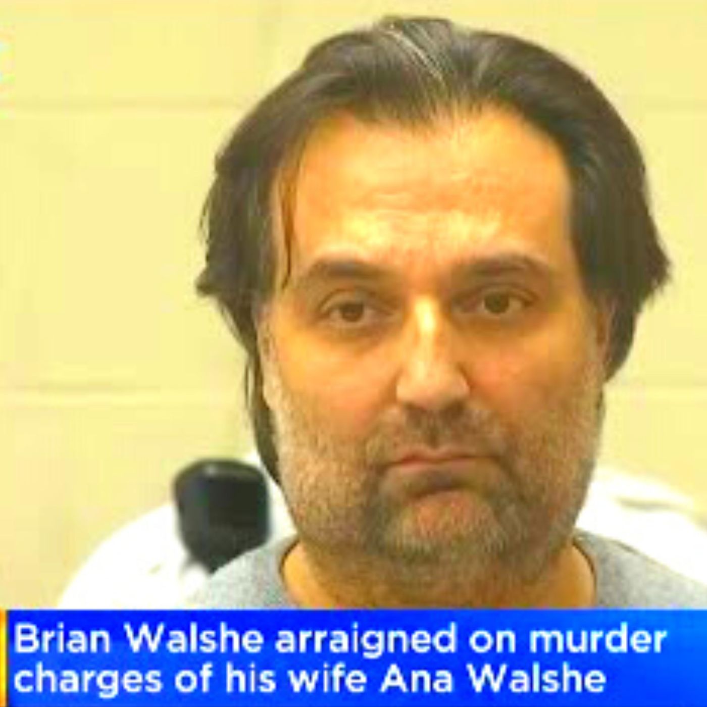 Gruesome details revealed in court as Brian Walshe charged with murdering wife Ana Walshe