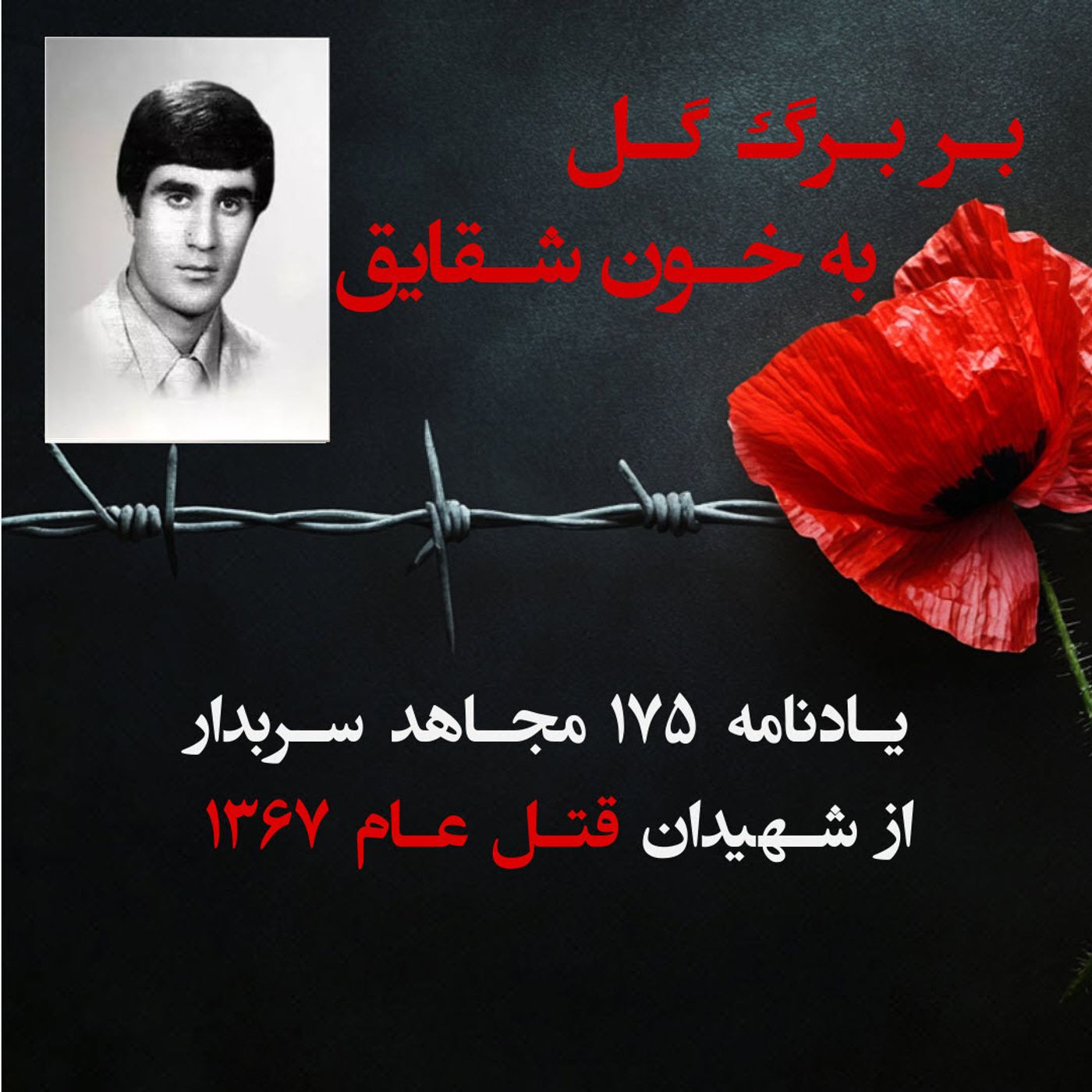 بربرگ گل به خون شقایق-فرزین نصرتی