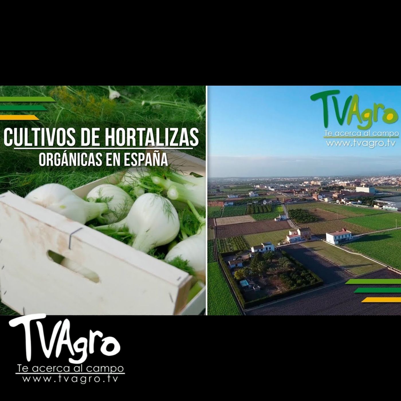 TV AGRO