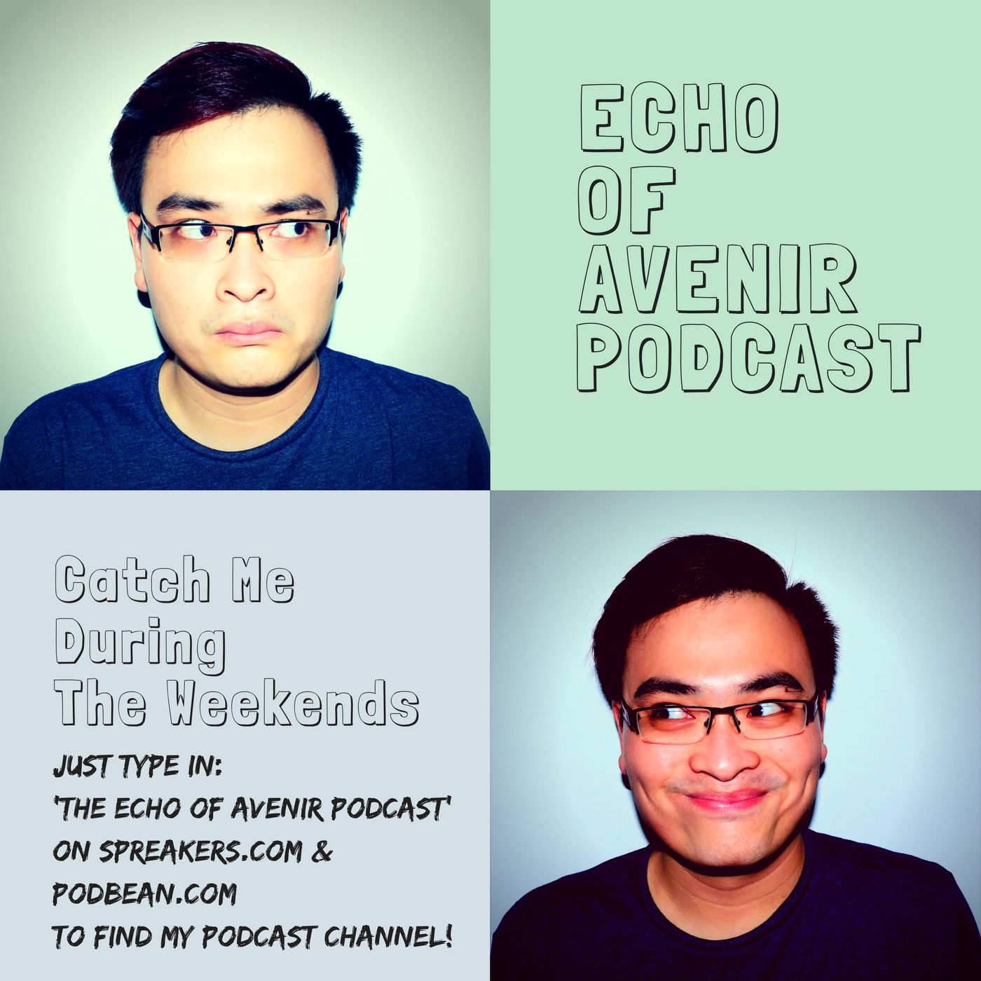 The Echo of Avenir Podcast\'s show