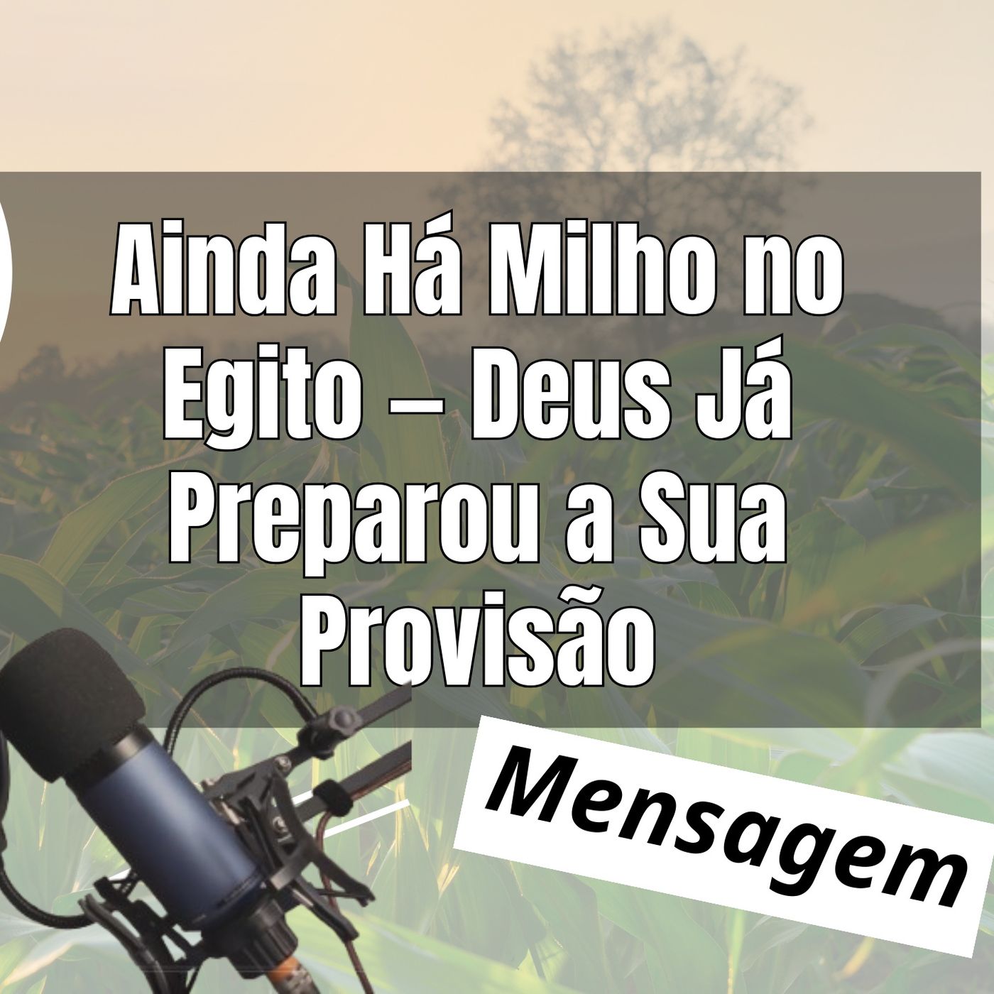 Conhecimento Da Verdade
