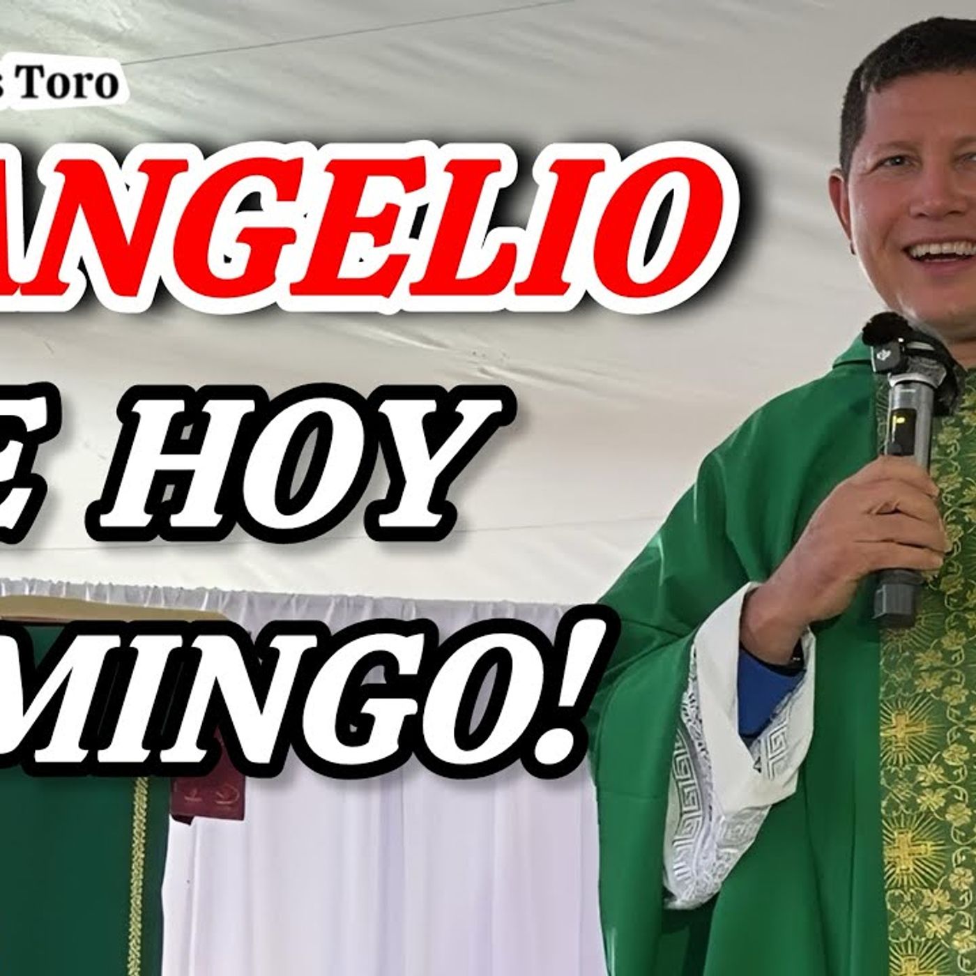 85-26_ No Podemos Callar el Mensaje de Dios_ Desde Querétaro_ México_ Padre Luis Toro episode artwork