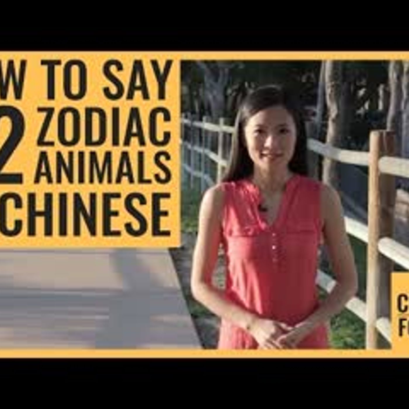 How to Say Chinese Zodiac Animals in Chinese    The 12 Chinese Zodiac Sign Animals episode artwork
