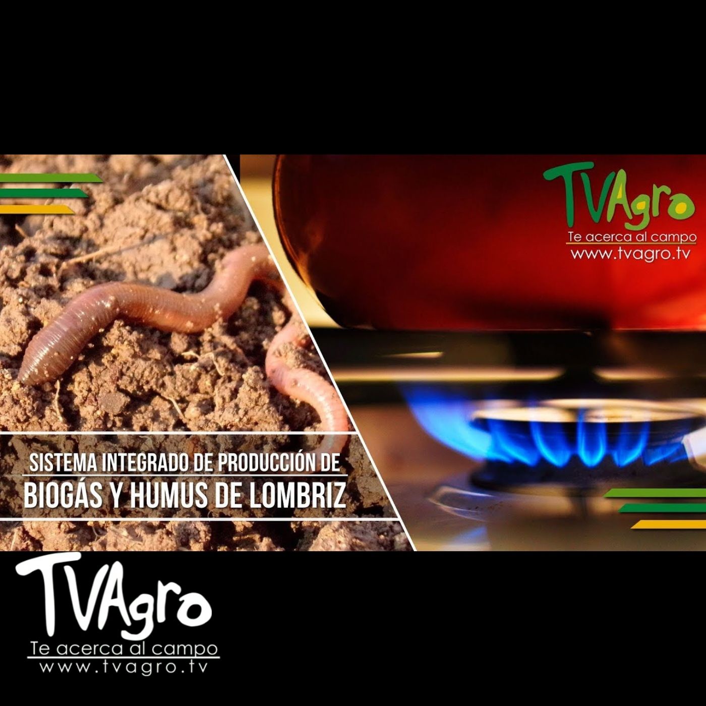 TV AGRO