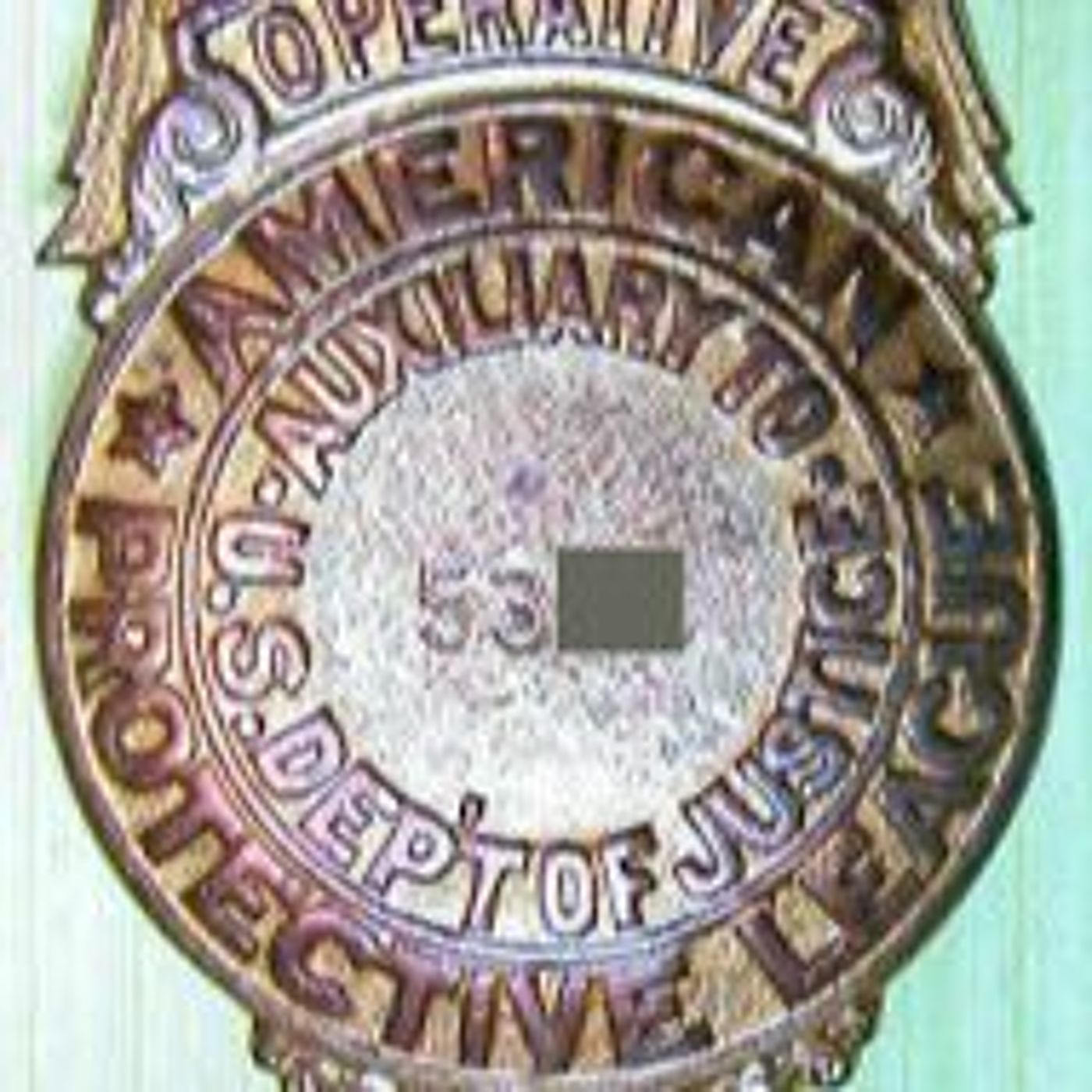 American Protective League Part 1