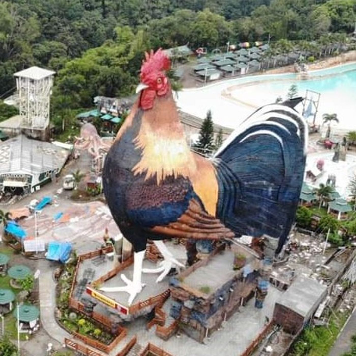 Hotel Chicken