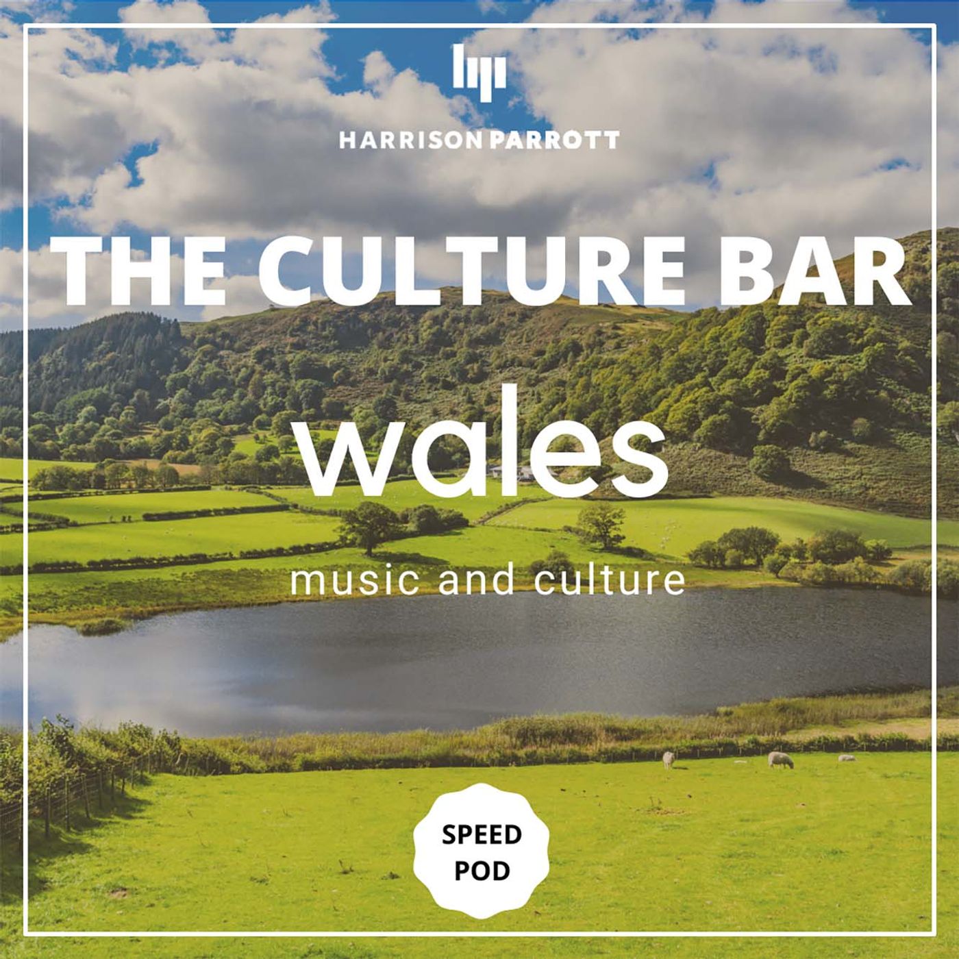 The Culture Bar