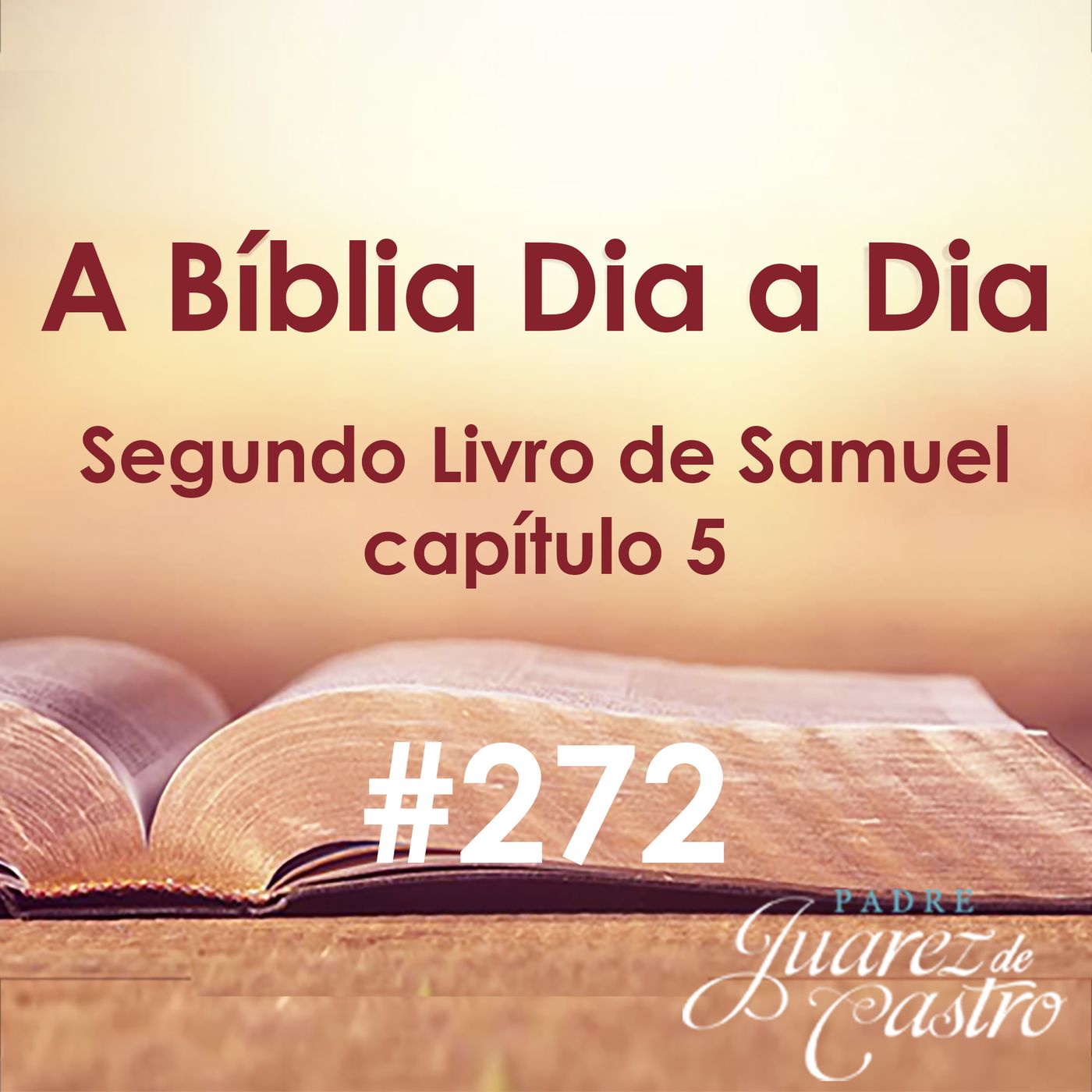 Curso Bíblico Padre Juarez