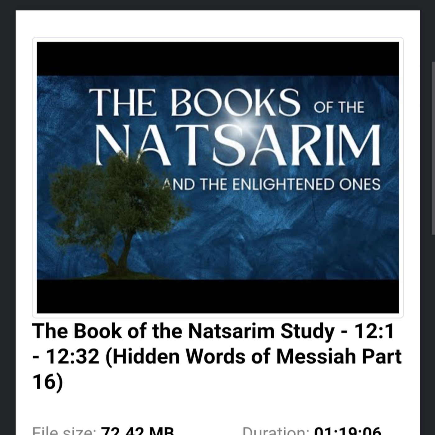 The Book of the Natsarim Study - 12:1 - 12:32 (Hidden Words of Messiah Part 16) episode artwork