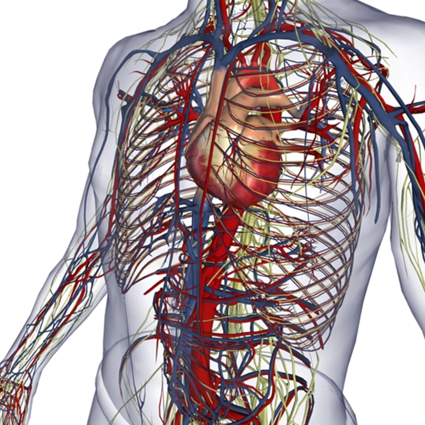 Hola...Soy El Síntoma