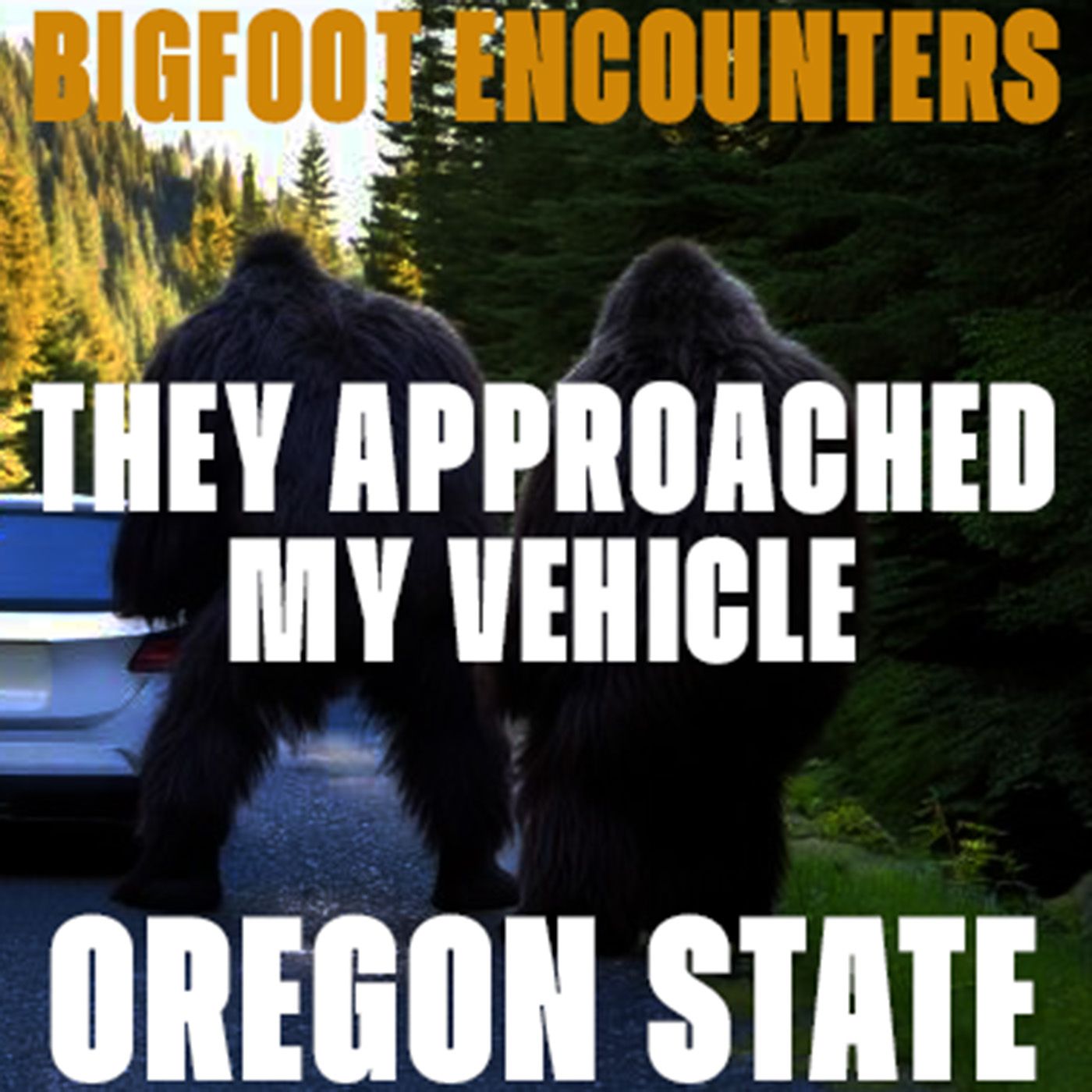 A CLOSE UP BIGFOOT ENCOUNTER FROM OREGON STATE | THEY LOOKED INTO THE WINDOW (I WAS SHOCKED!)