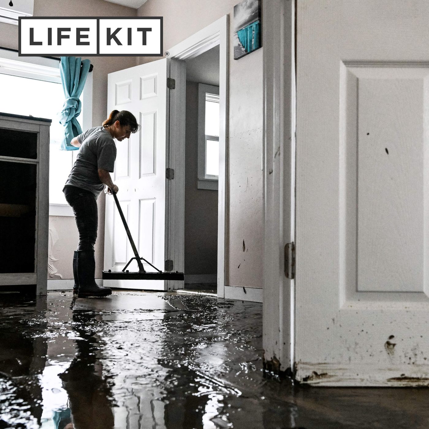 What to do when your house floods episode artwork
