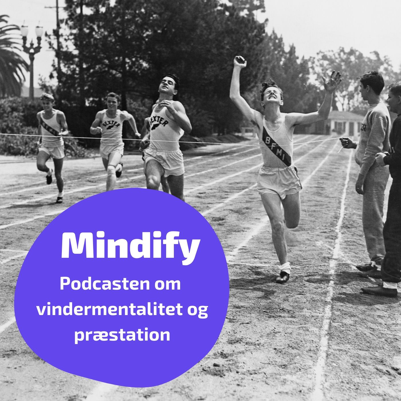 Mindify