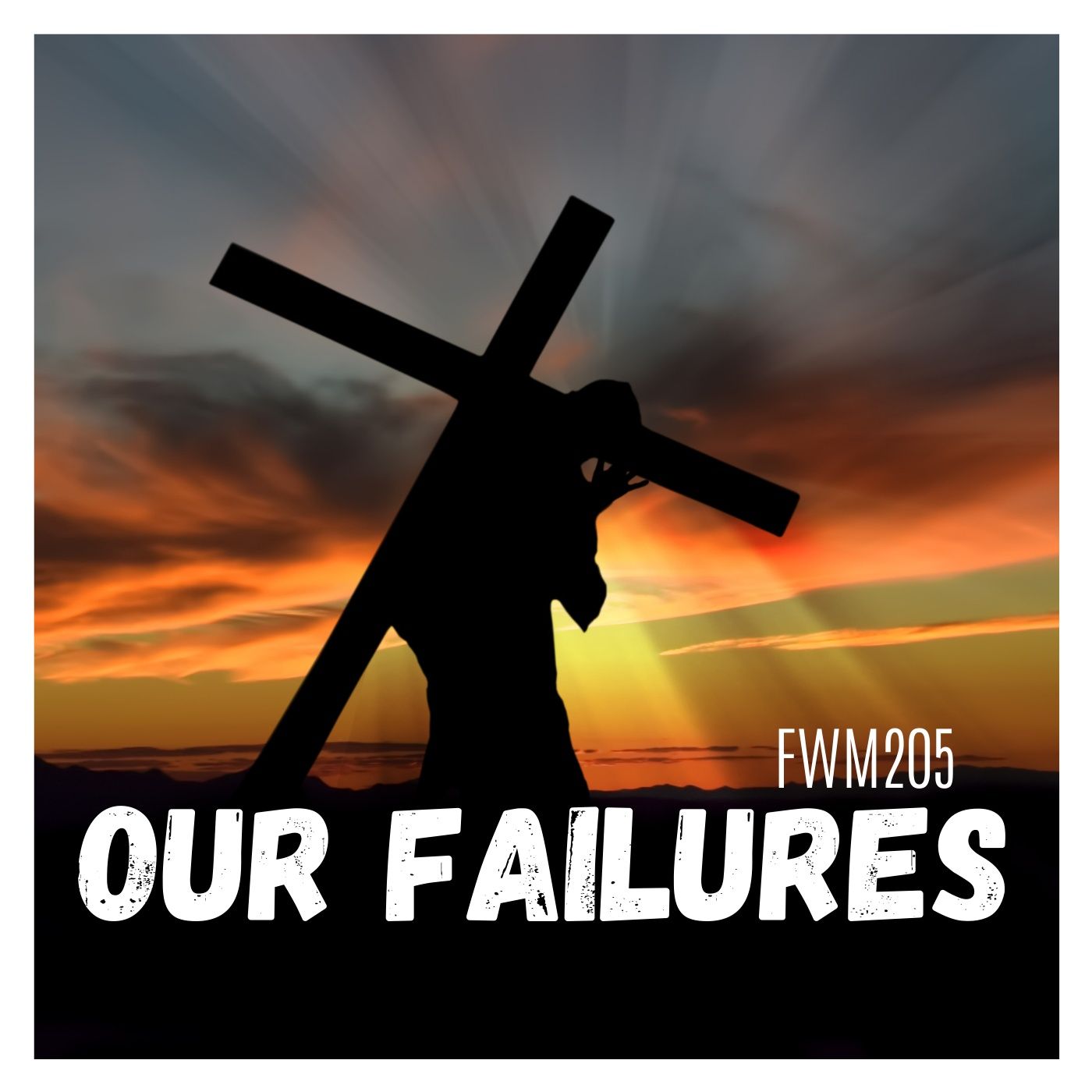 FWM205 Our Failures