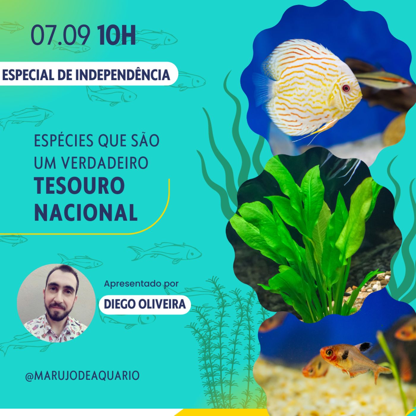 Marujo de Aquário