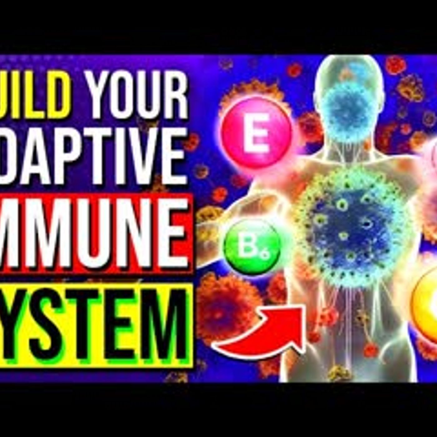 11 KEY Nutrients To Build An ADAPTIVE Immune System In Your Body! episode artwork