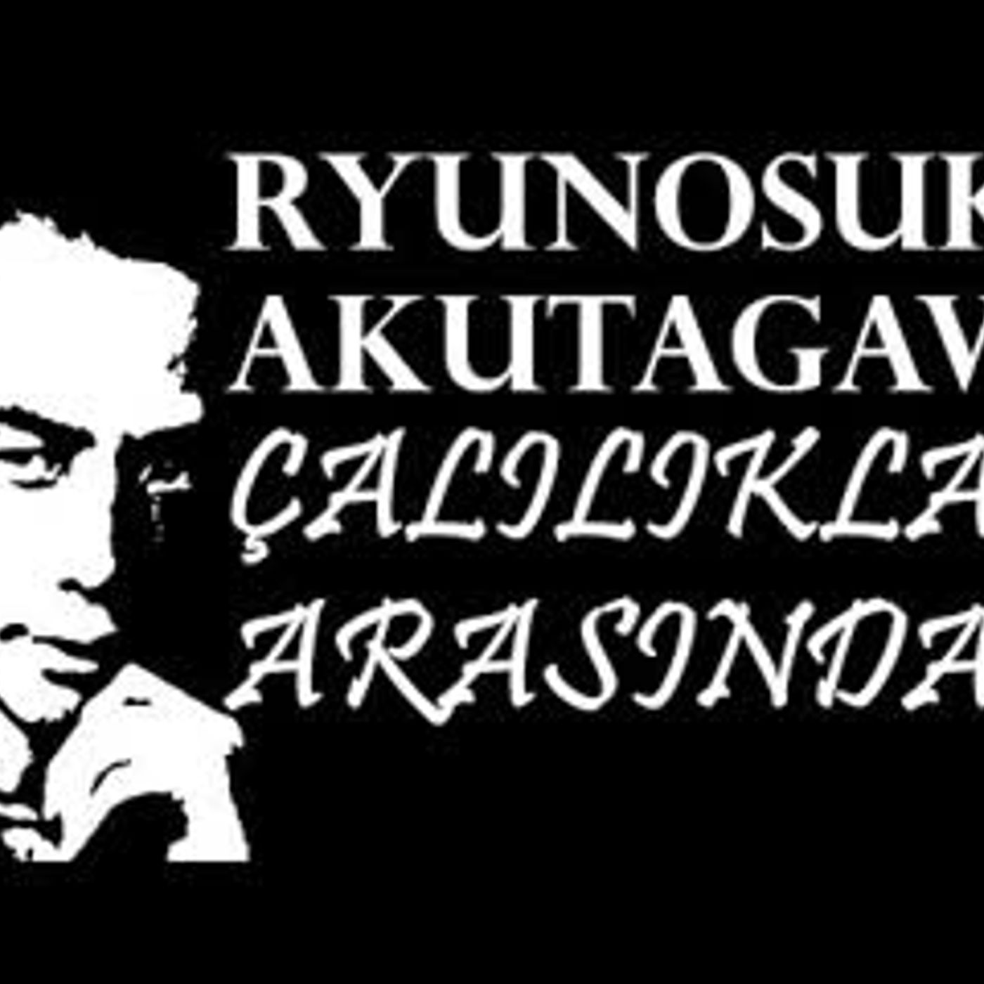 Akın Altan Sesli Kitap