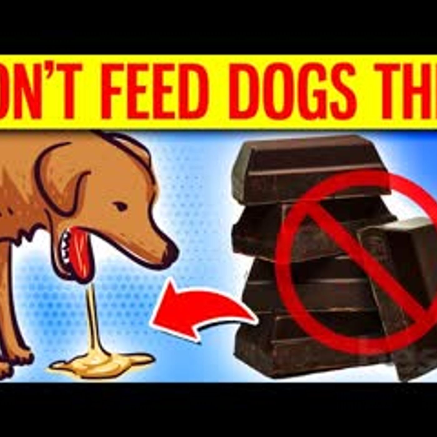 10 Popular Foods To NEVER Give Your Dog! episode artwork