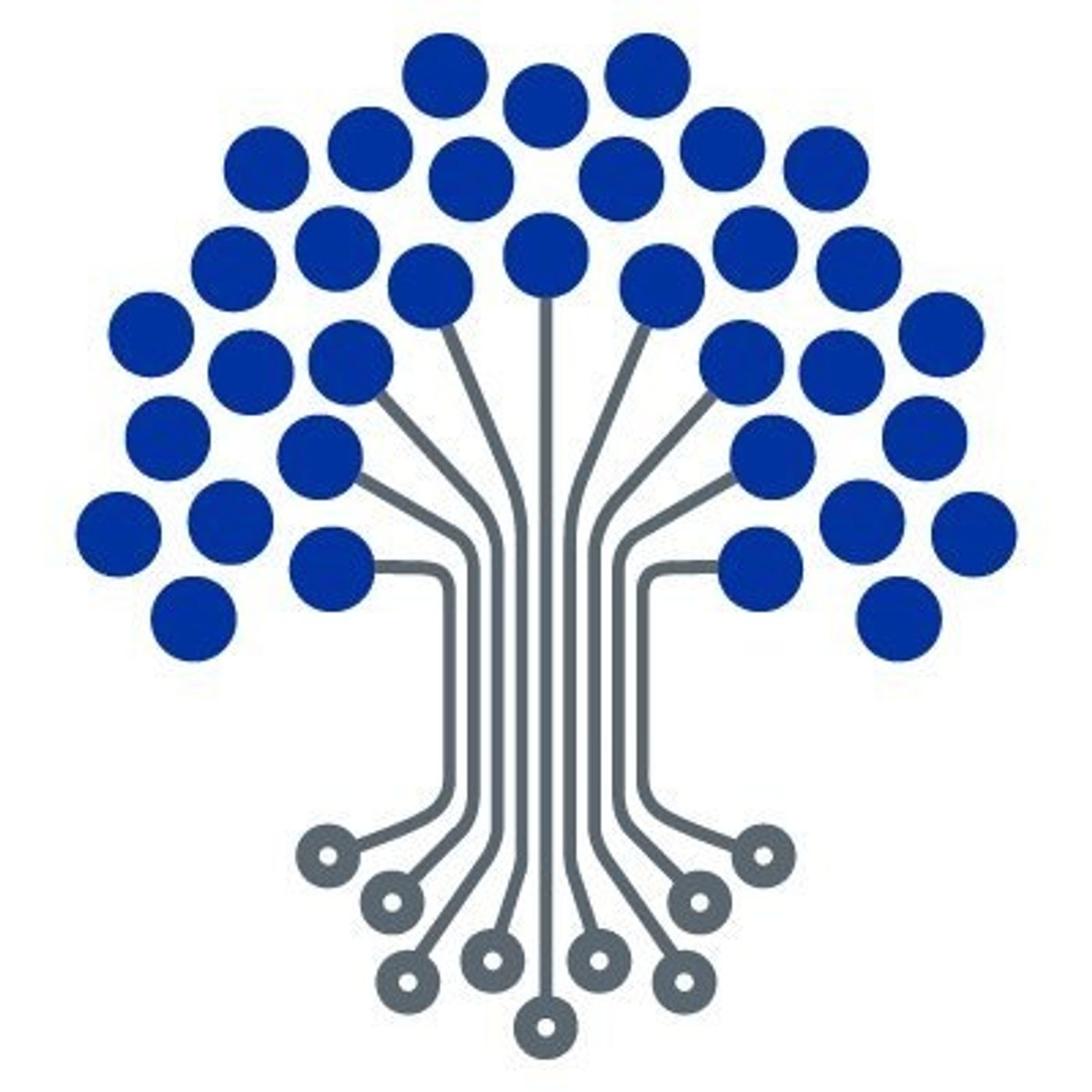 Economics Tuesday Talks
