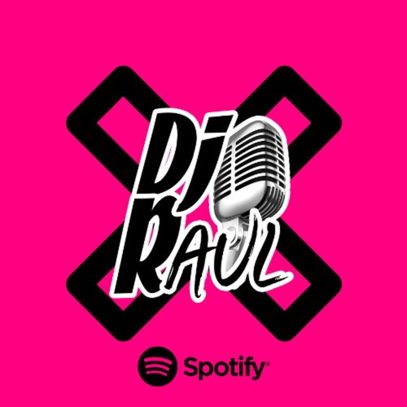 DJ RAUL 507