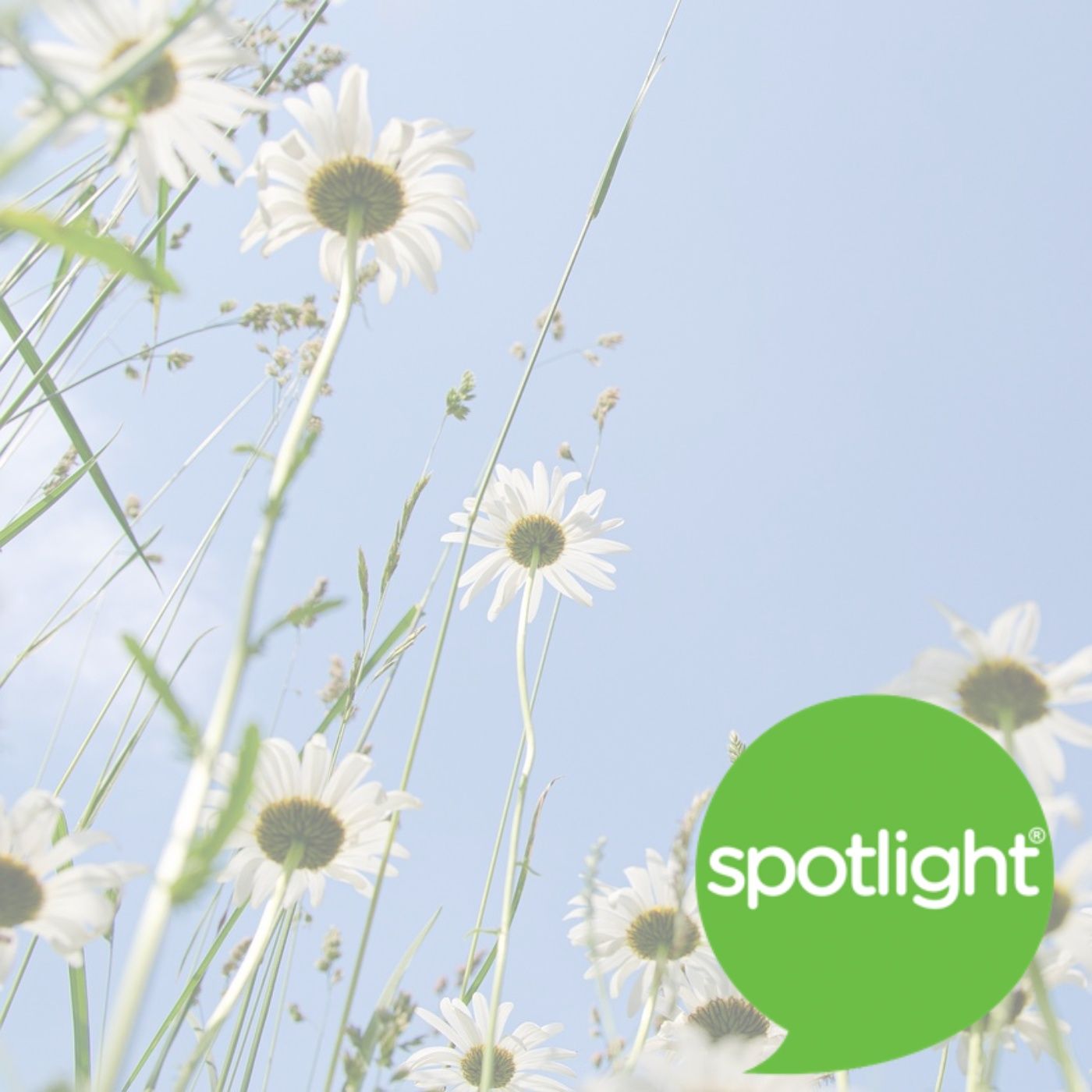 English Idioms: Plants