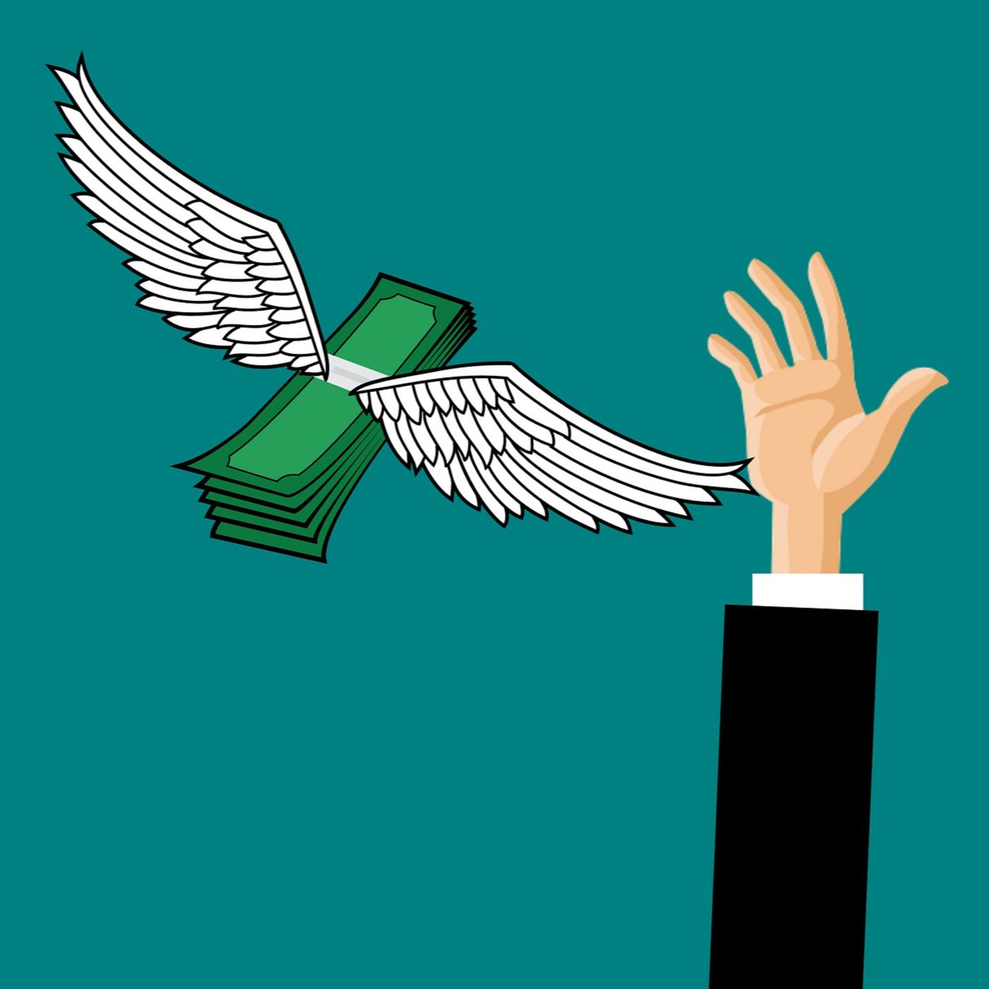NZ Guide to Financial Freedom