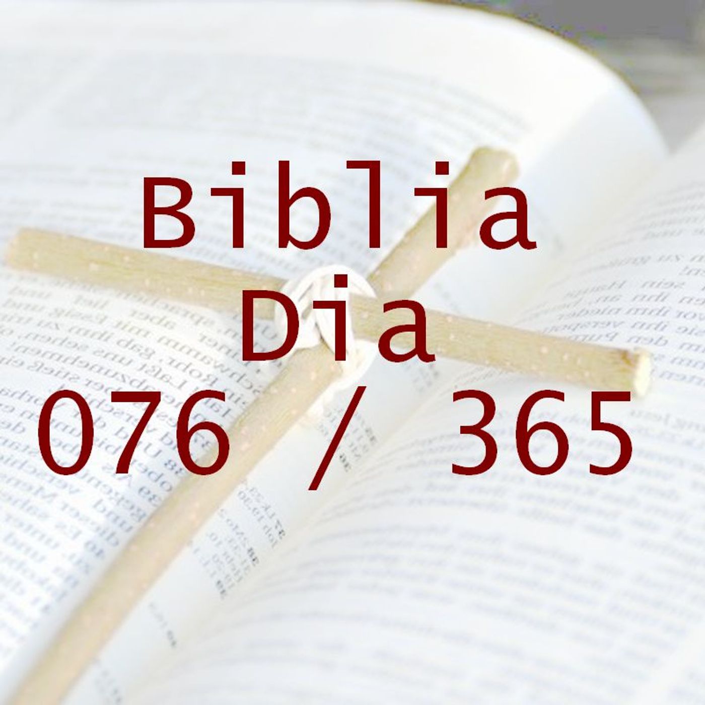 La Biblia en 365 dias