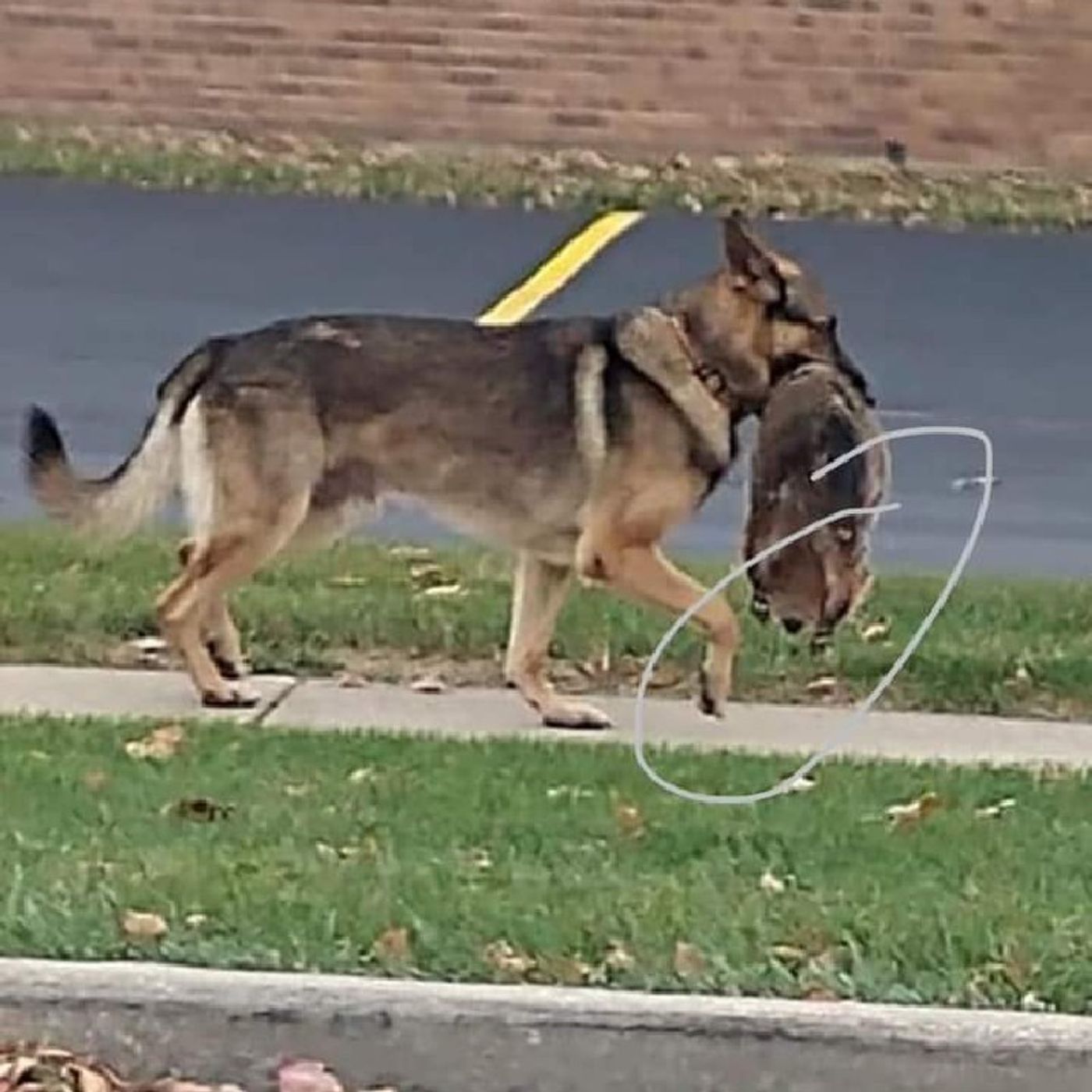 11/15 Big S Newsbreak