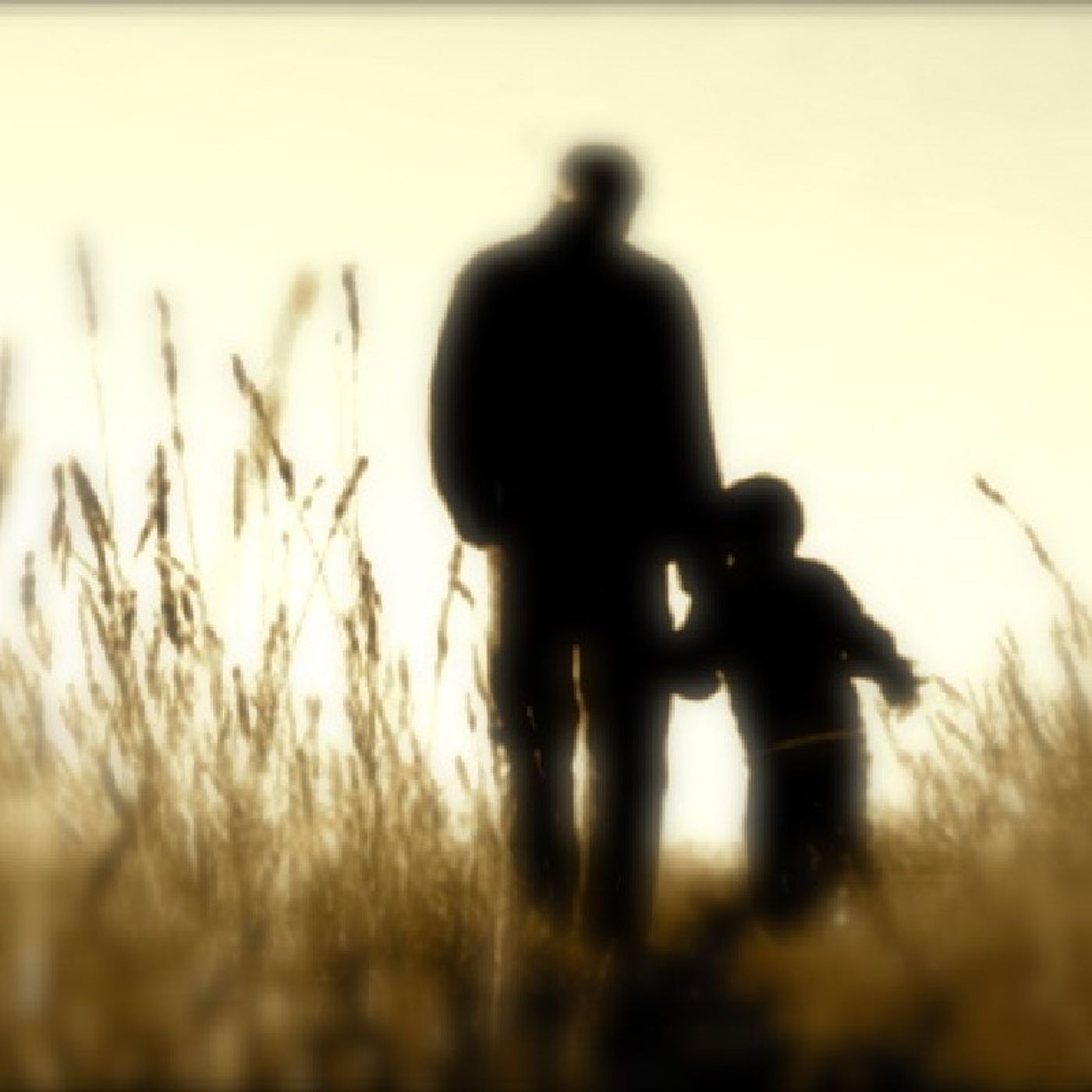 The Voice & the Purpose of Godly Sonship Pt6