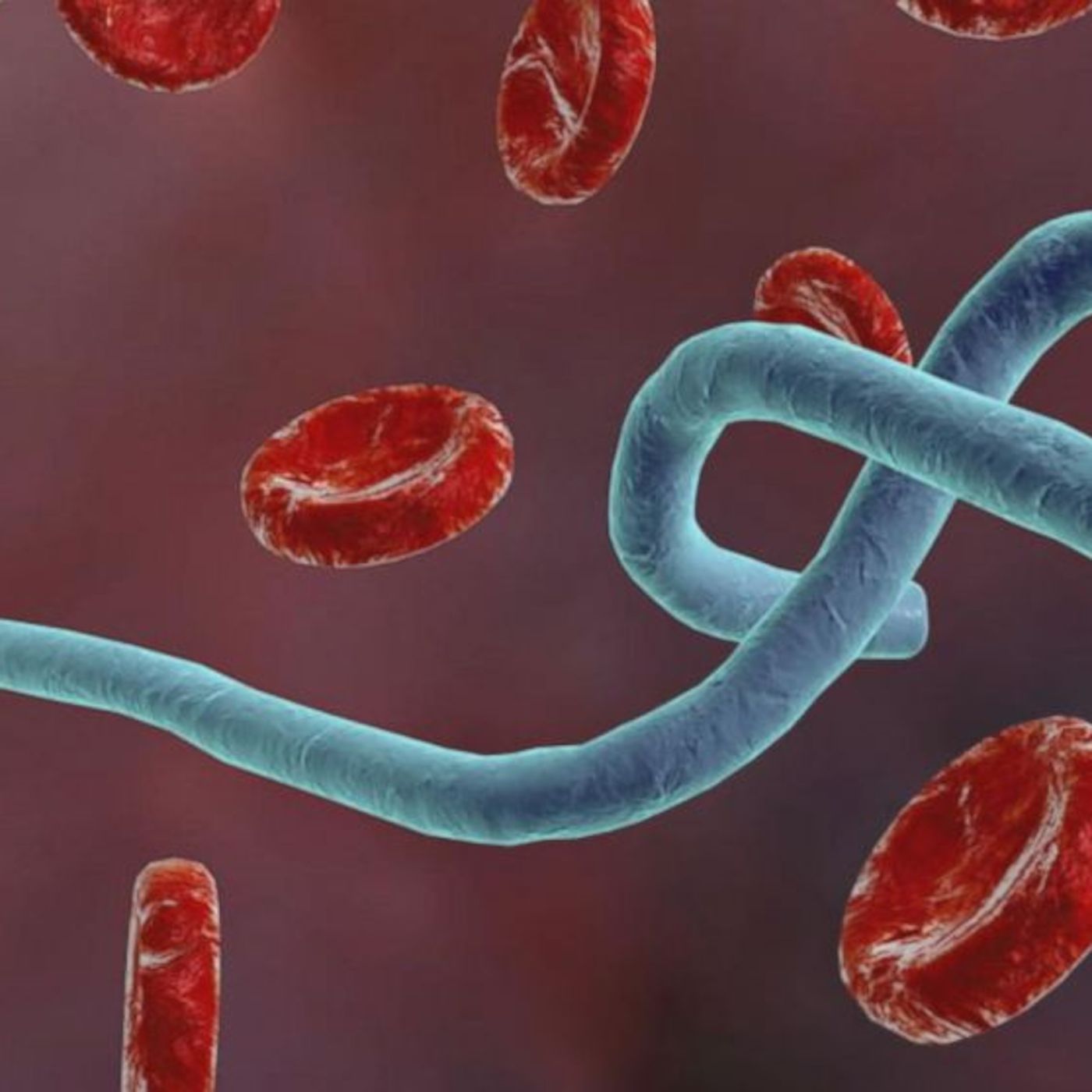Episode 41: The next wave More than 60 travelers being monitored for Ebola in three states episode artwork