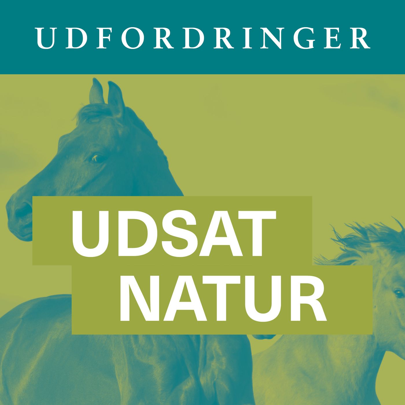 Udsat natur del 2 - Hvorfor freder vi naturen?