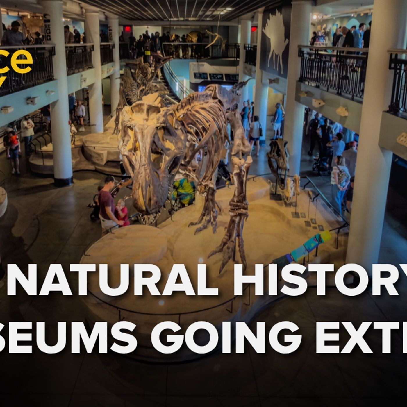 1405: Are natural history museums going extinct?