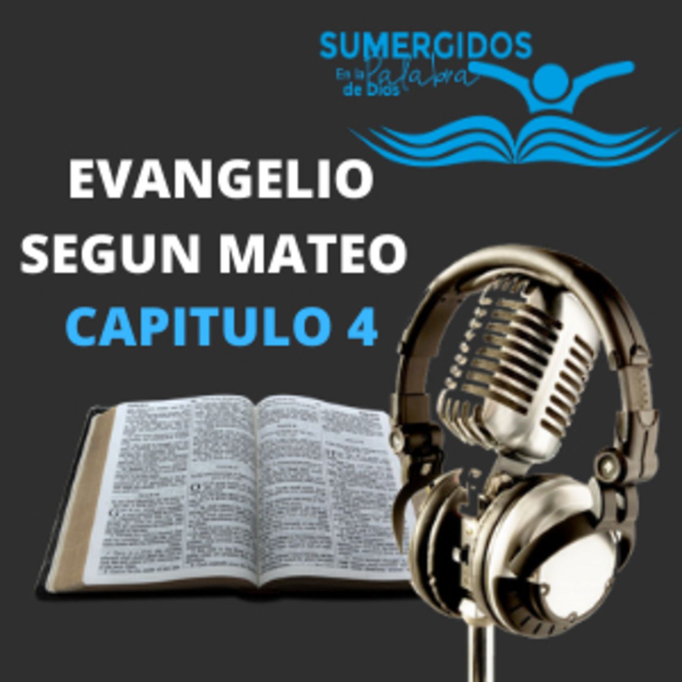 Biblia Hablada / Evangelio segun Mateo