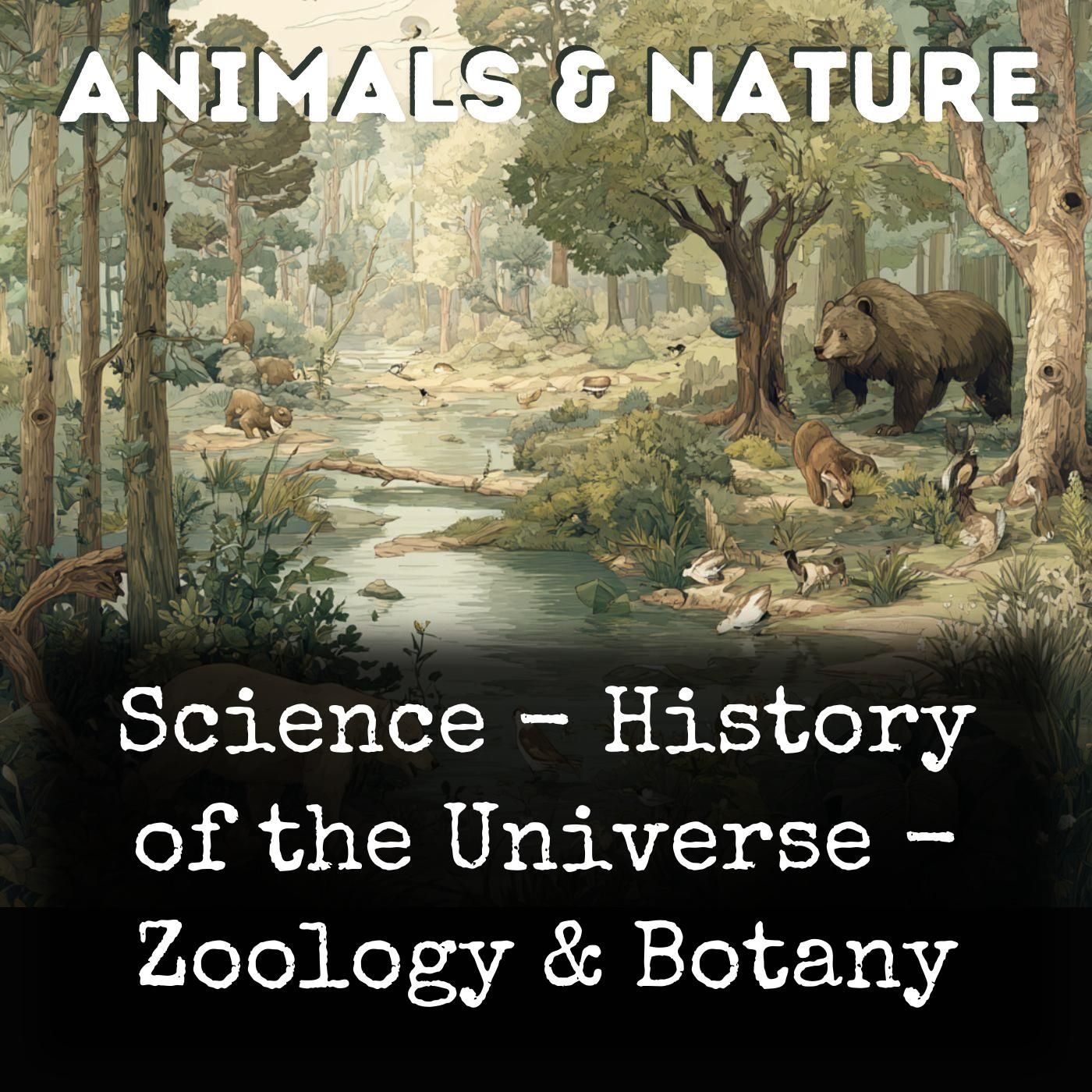 Science - History of the Universe - Zoology & Botany cover art