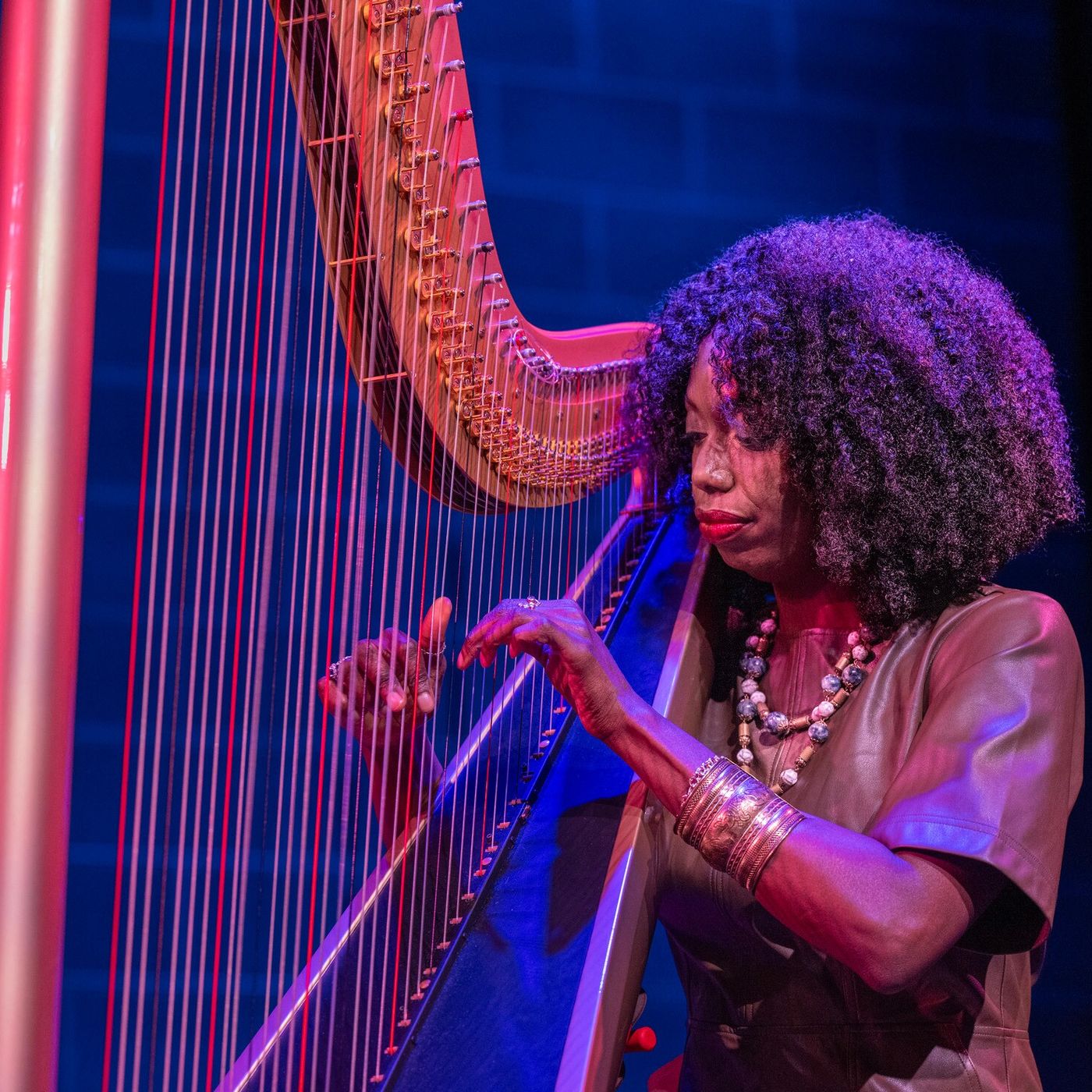 Montclair Art Museum's "Art Meets Jazz" series continues with the Brandee Younger Trio on March 19 episode artwork