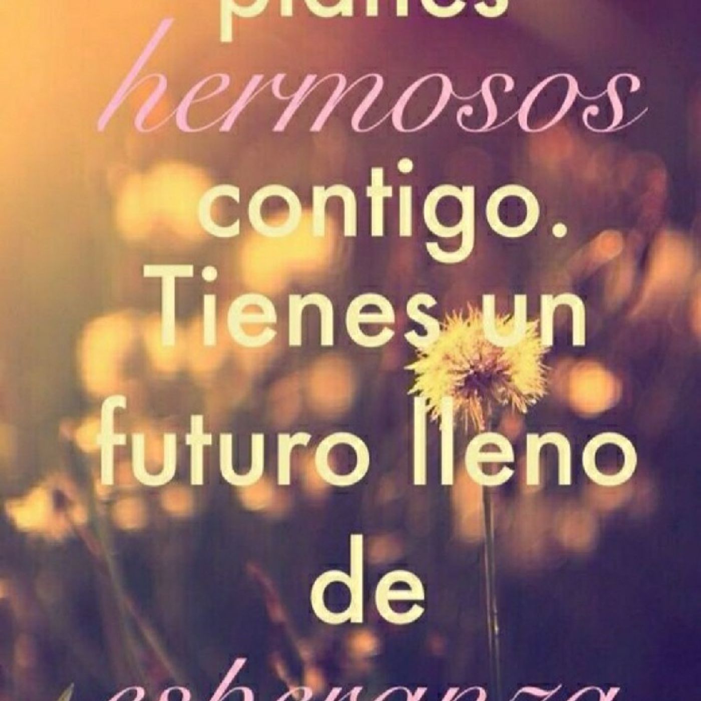 Reflexión Oasis Espiritual.  E. Lizcano