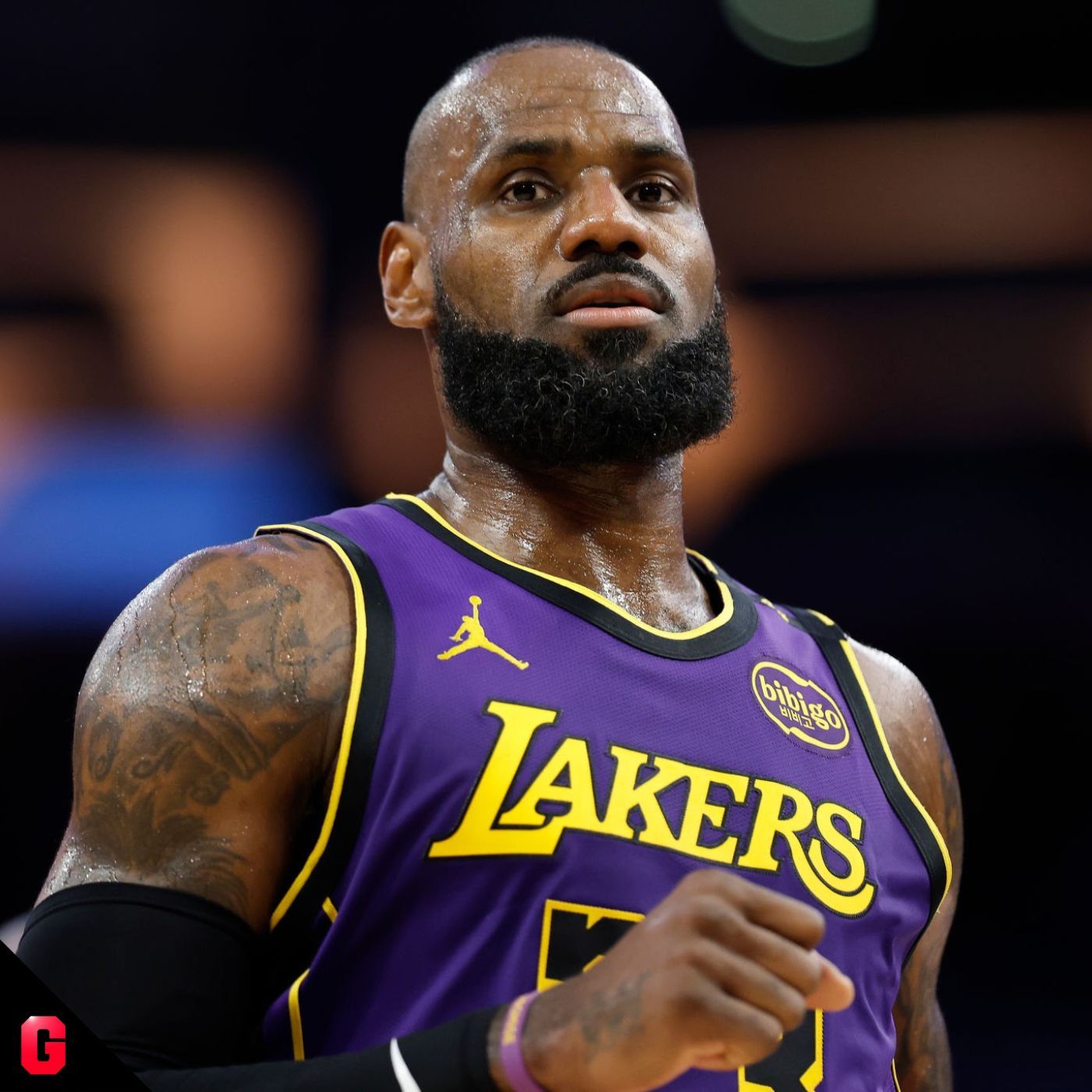 Gigantes Daily, baloncesto al día