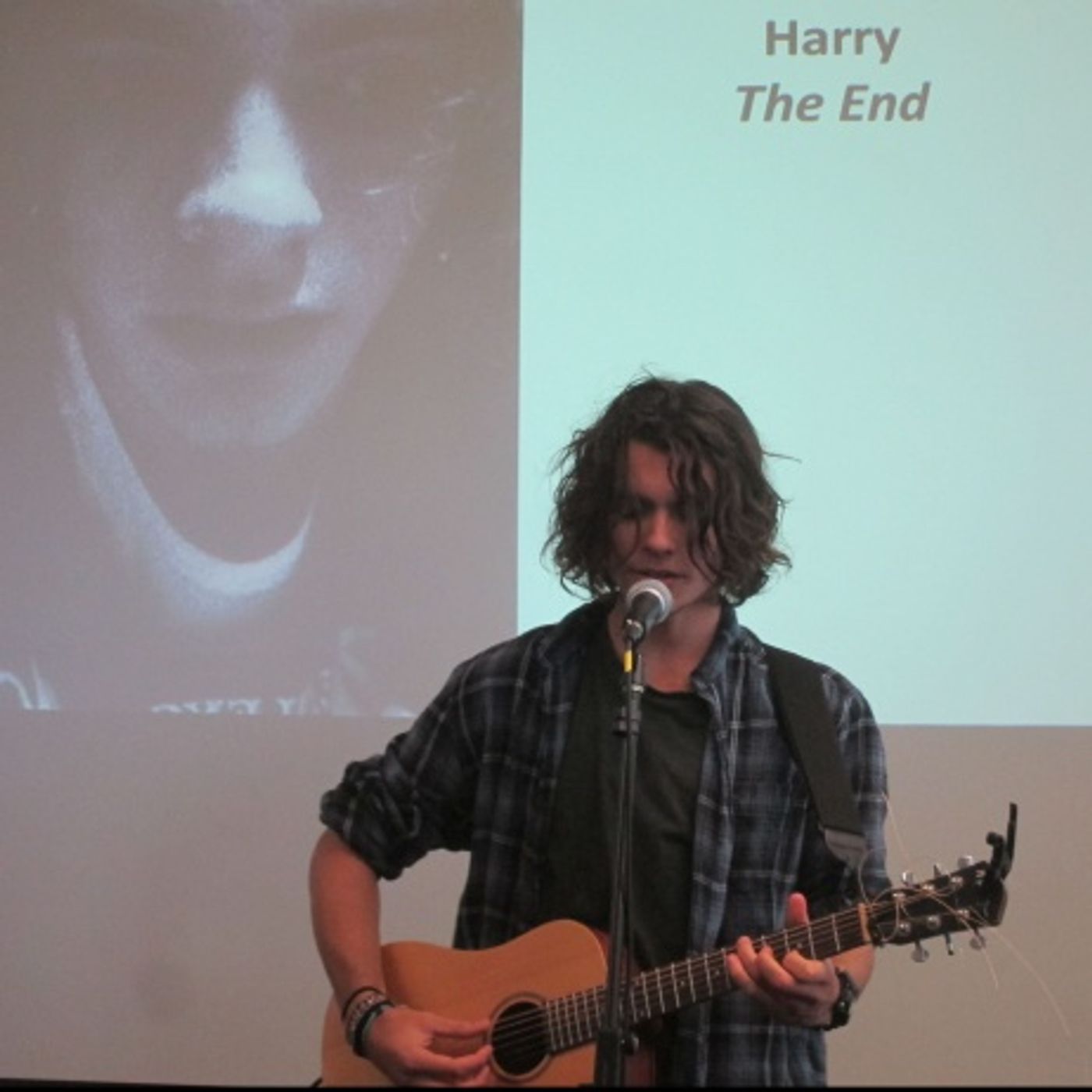 Harry THE END episode artwork