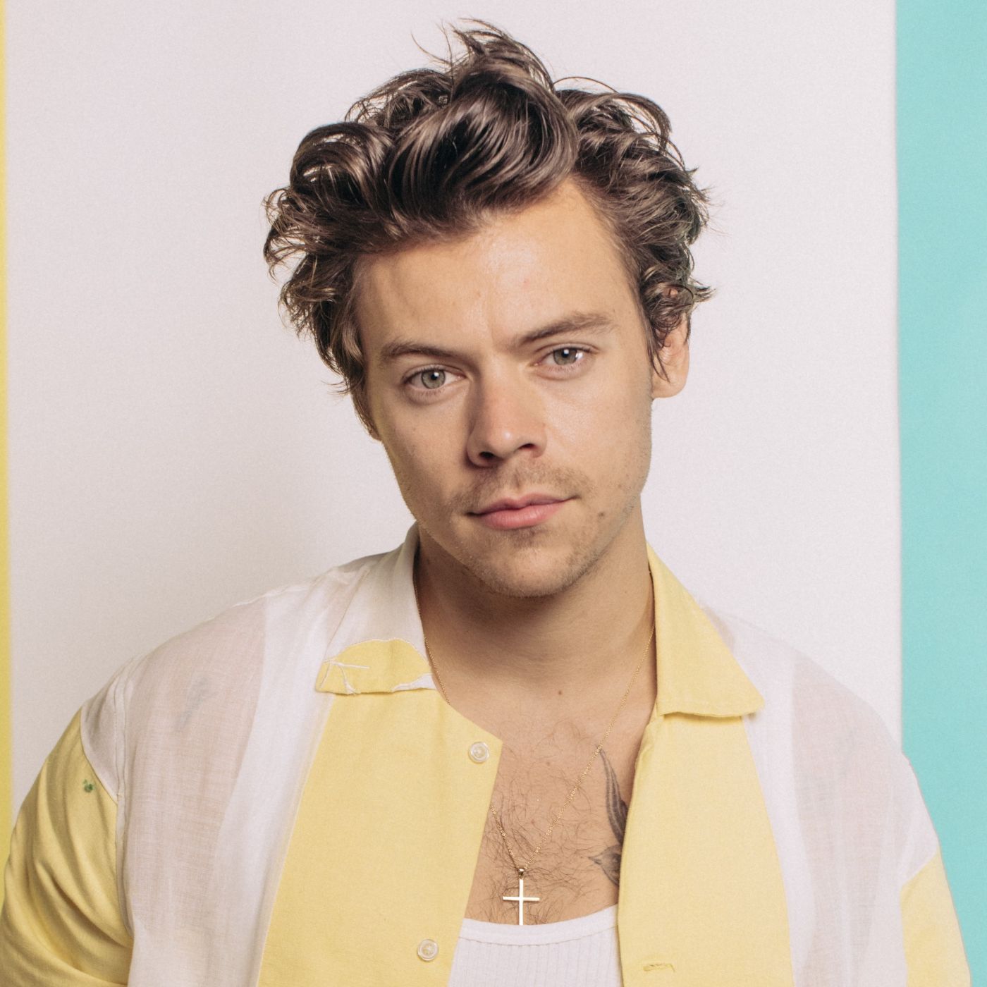 Harry Styles Day podcast artwork