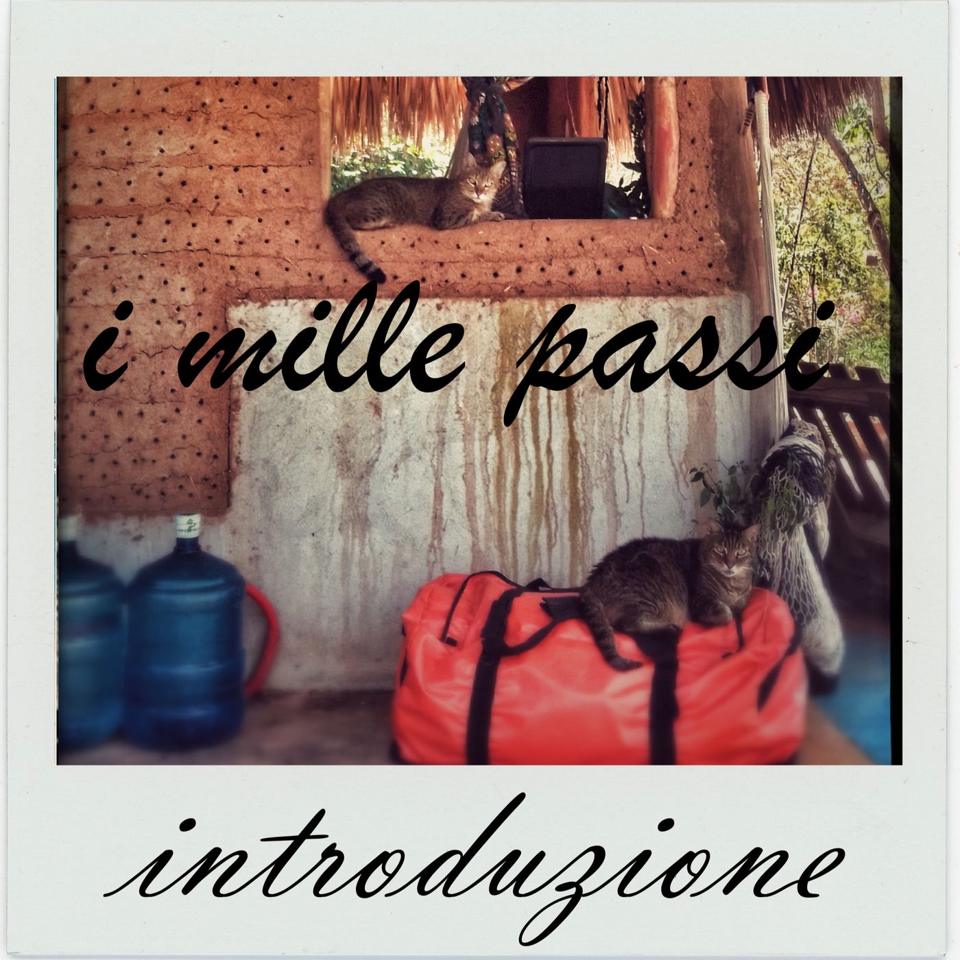 I mille passi (dai diari di Morgana )