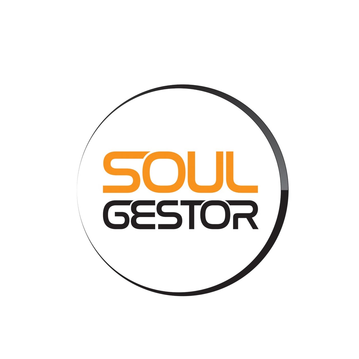 #20 - O Que Te Leva Para Ação - Soul Gestor Leandro Martins