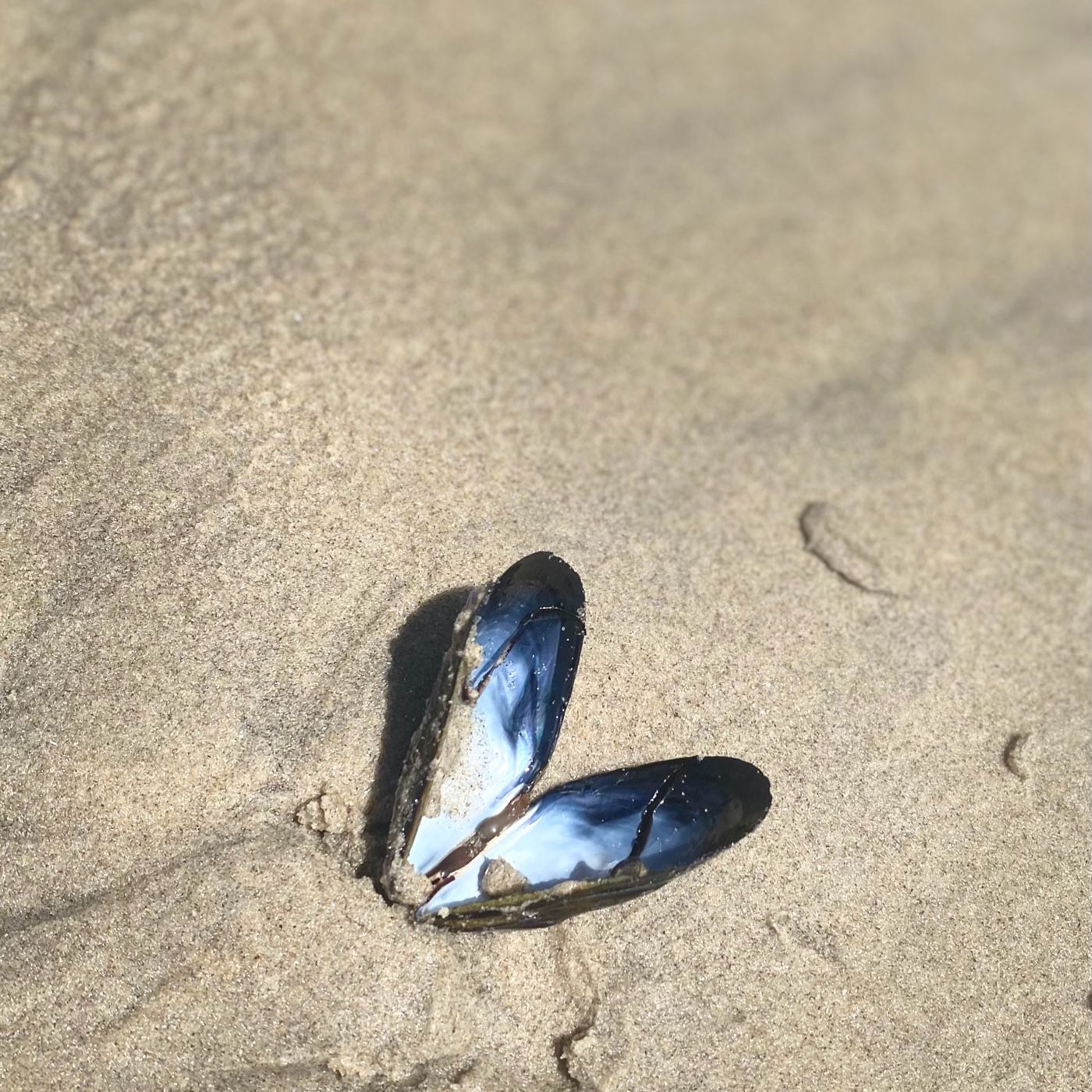 Escalones para un AUTOESTIMA ALTO