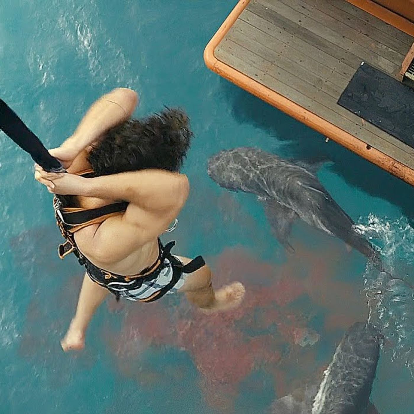 The ocean is not the worst thing that could have happened to him