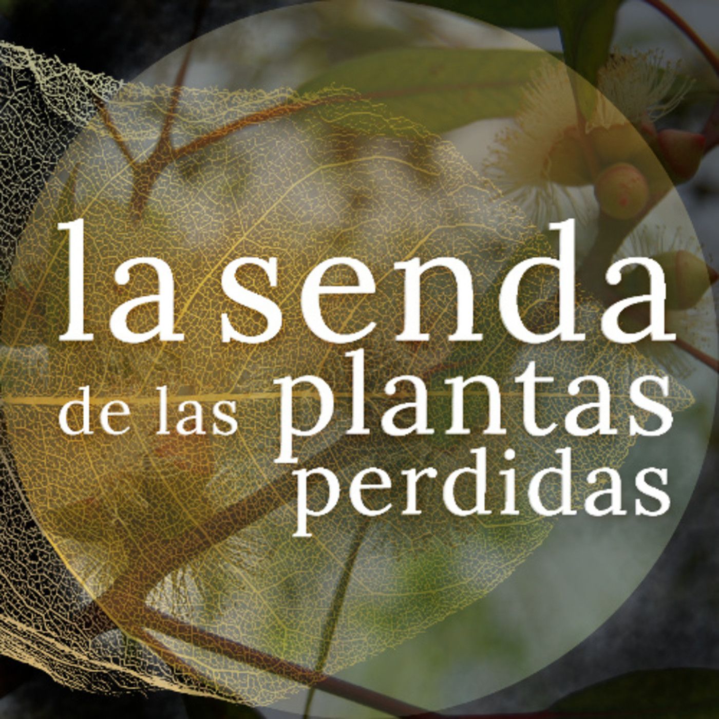 La Senda de las Plantas Perdidas